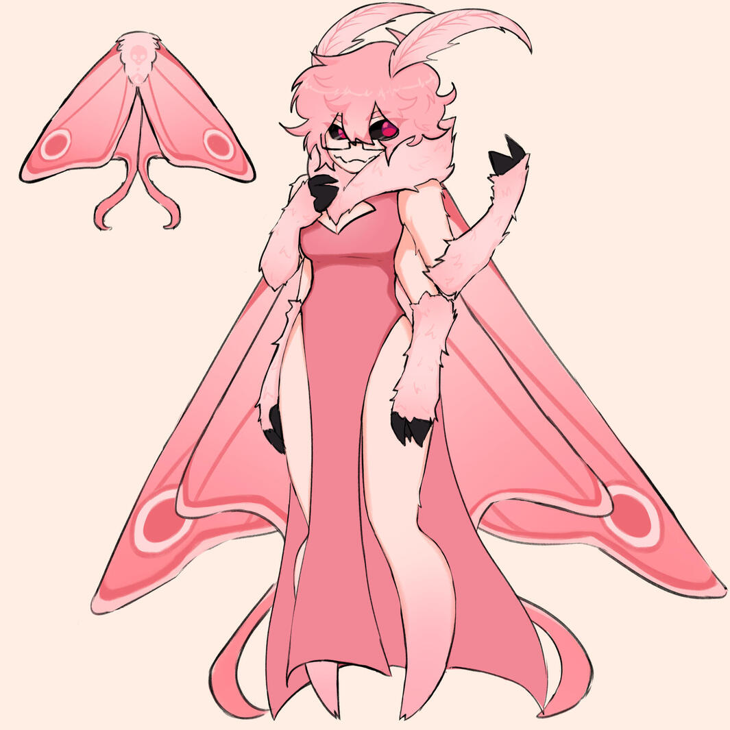 Moth Moth